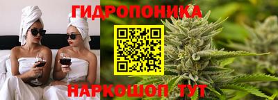 амф Заволжье